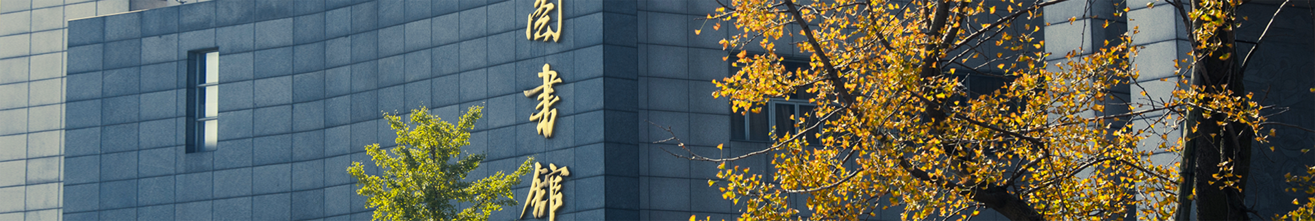 成人色情banner