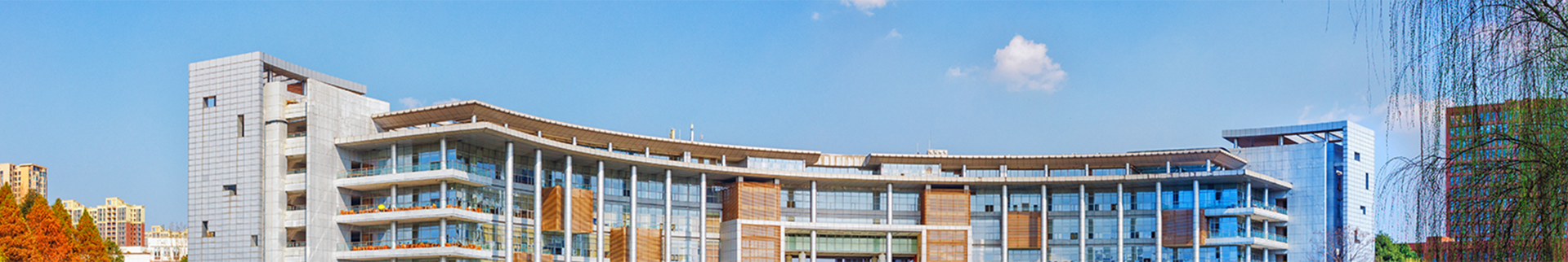 成人色情banner