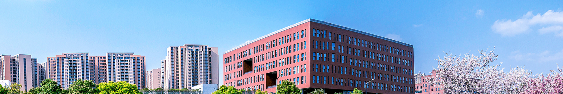成人色情banner